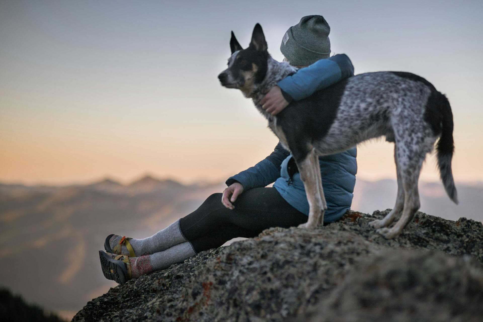 Specialist Vets in Jackson